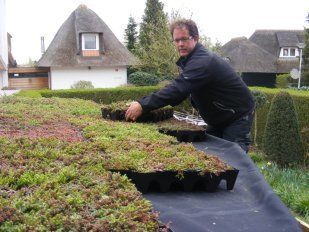 Tuinontwerp in Krimpen, Capelle en Rotterdam. Uw eigen hovenier