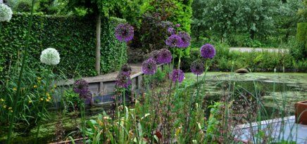 U wilt tuinverlichting laten plaatsen in uw tuin bij Rotterdam?