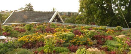 Een blokhut of een pergola plaatsen in Capelle aan den IJssel